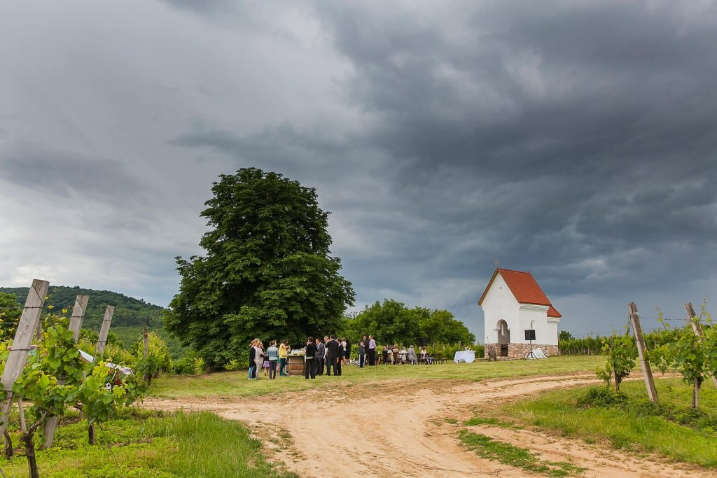 Esküvői helyszín, Villány- esküvői képek - Birta Fotó